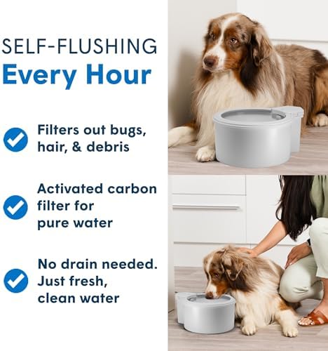 Always Full® 7" Pet Water Bowl and Bottle Pump Bundle, Self-Refilling, Clean Filtered Water