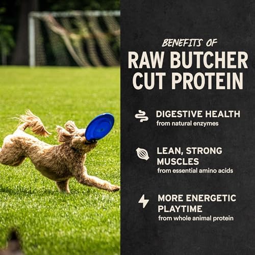 Vital Essentials Single Ingredient Duck Hearts Dog Treats, 10 oz | Freeze-Dried Raw | Premium Quality High Protein Training Treats | Grain Free, Gluten Free, Filler Free