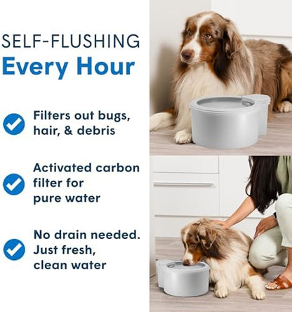 Always Full® 7" Pet Water Bowl and Bottle Pump Bundle, Self-Refilling, Clean Filtered Water