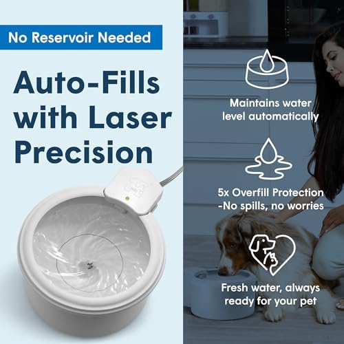 Always Full® 7" Pet Water Bowl and Bottle Pump Bundle, Self-Refilling, Clean Filtered Water