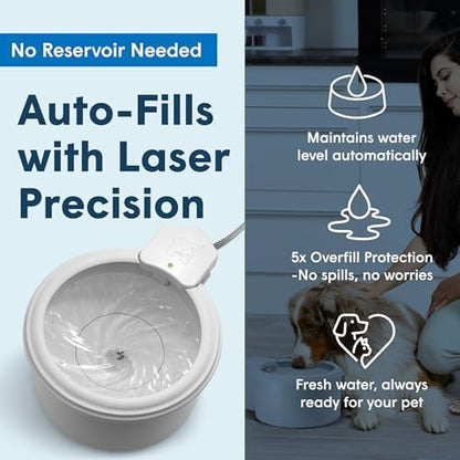 Always Full® 7" Pet Water Bowl and Bottle Pump Bundle, Self-Refilling, Clean Filtered Water