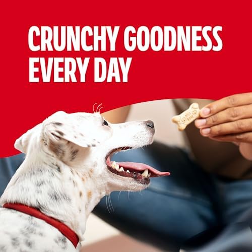 Milk-Bone Original Biscuits, Small Dog Treats, 24 Oz. Boxes (Pack of 12)