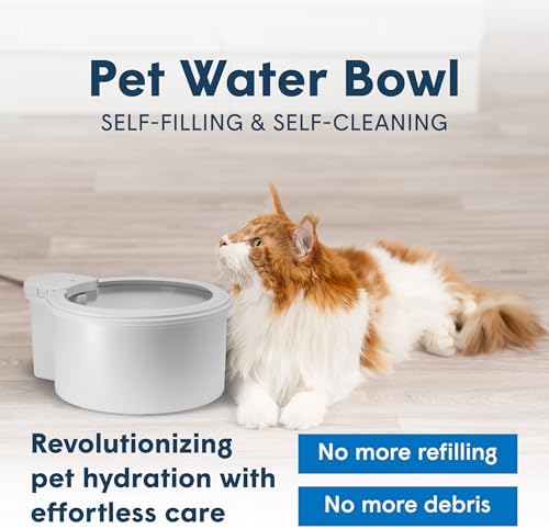 Always Full® 7" Pet Water Bowl and Bottle Pump Bundle, Self-Refilling, Clean Filtered Water